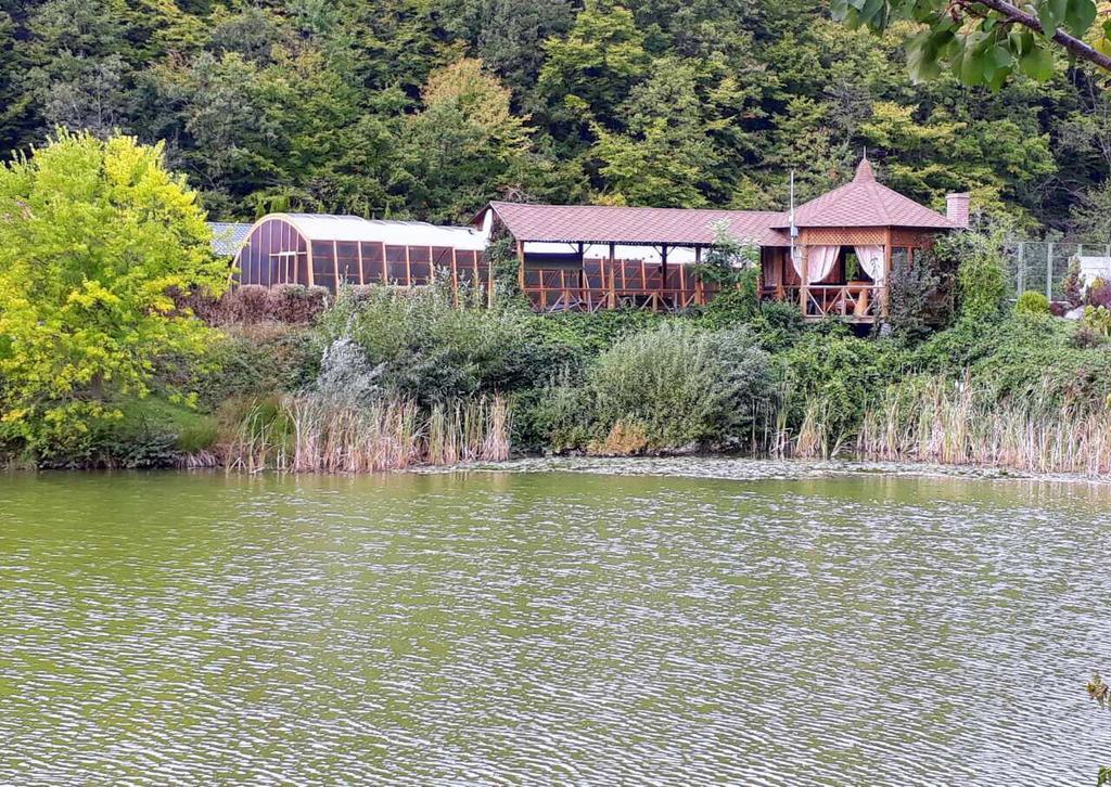 Rancho 555 Guest House Uzhhorod Exterior photo